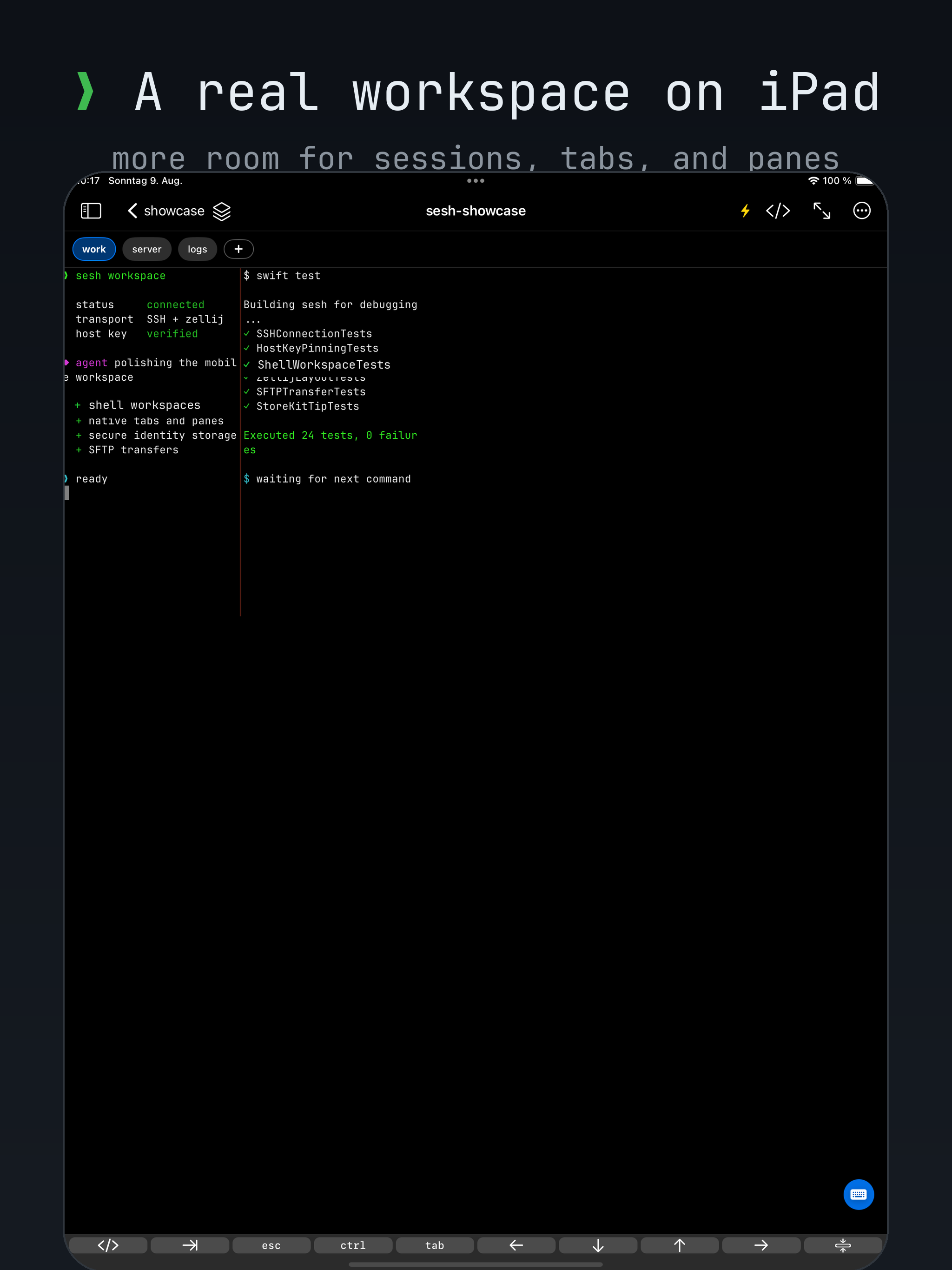 sesh running a controlled demo workspace on iPad
