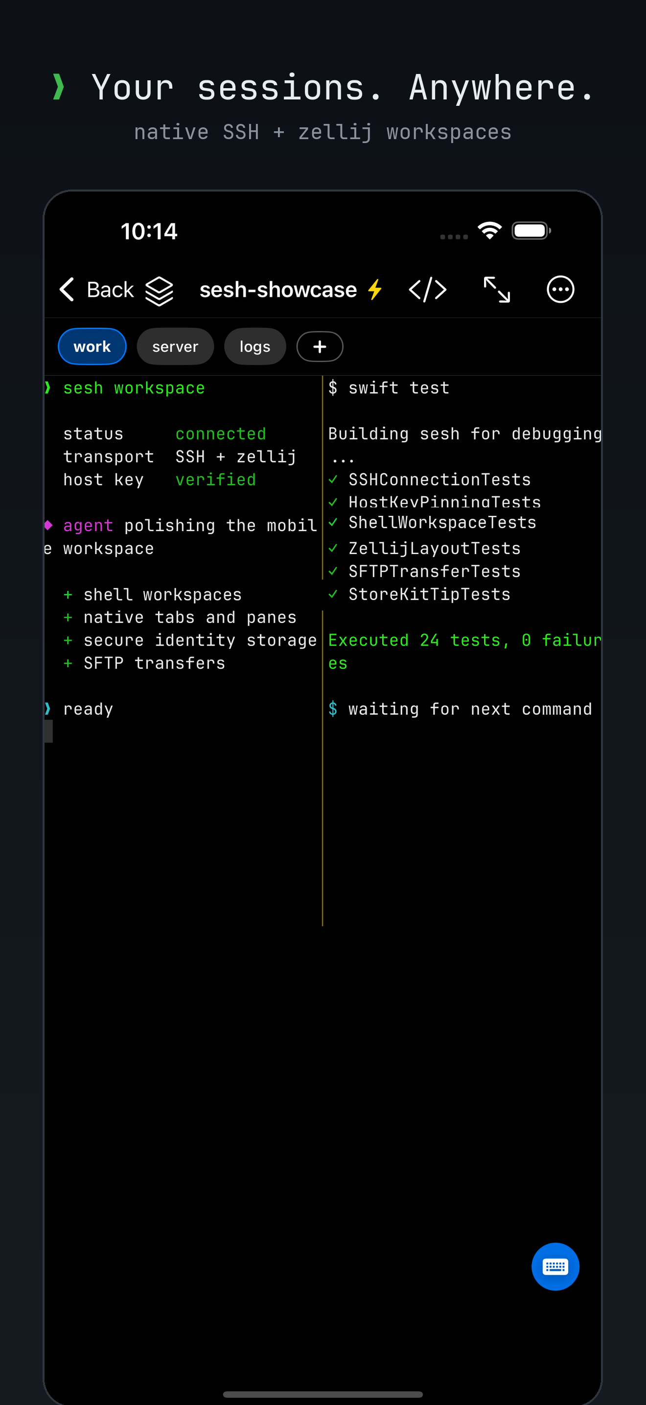 sesh showing a controlled two-pane zellij workspace